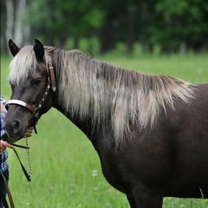 Meet your Posher, Shauna